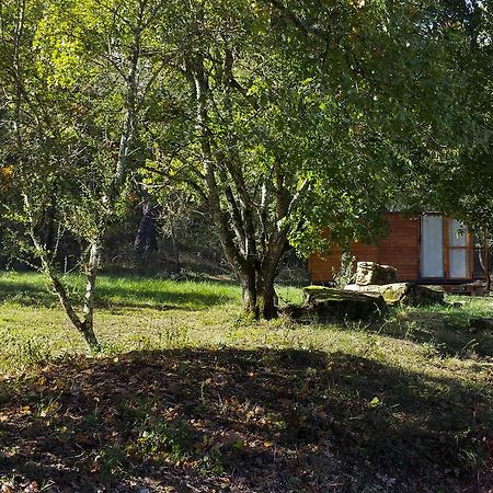Agricampeggio Madonna Di Pogi Bucine Zimmer foto